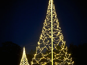 Tree 6M - 960 Warm White LEDs - zdjęcie od www.solarlighting.pl