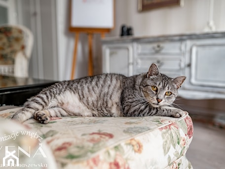 Aranżacje wnętrz - : - Homebook.pl. Przeglądaj, dodawaj i zapisuj najlepsze zdjęcia, pomysły i inspiracje designerskie. W bazie mamy już prawie milion fotografii!