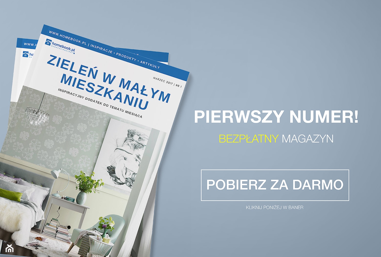 Magazyn Homebook: Zieleń w małym mieszkaniu - zdjęcie od Homebook.pl - Homebook