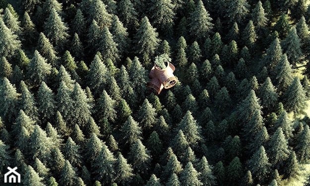 leśny domek w kształcie Minionka