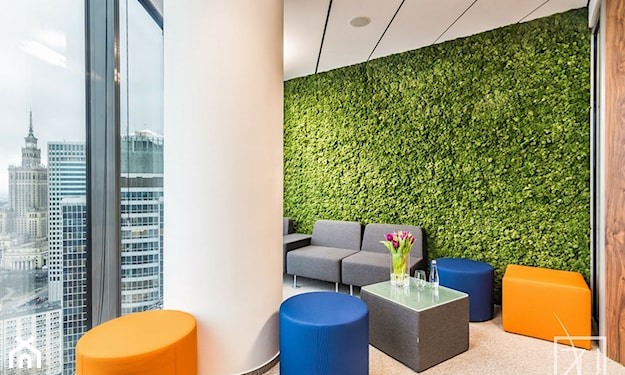 zielona ściana z roślin w biurze