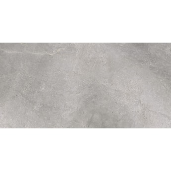 Masterstone Silver 60 x 120