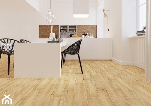 Drewno kolekcja Lussaca - Średnia biała jadalnia w kuchni - zdjęcie od Cerrad