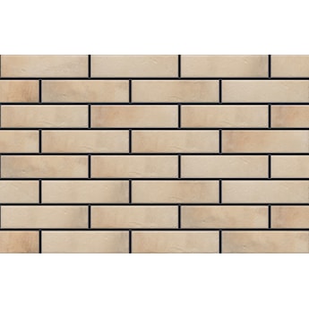 ELEWACJA RETRO BRICK SALT 245x65x8mm