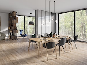 Kolekcja Acero - Duży salon z jadalnią, styl industrialny - zdjęcie od Cerrad