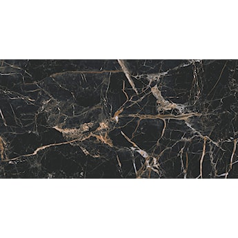 Marquina gold 60 x 120