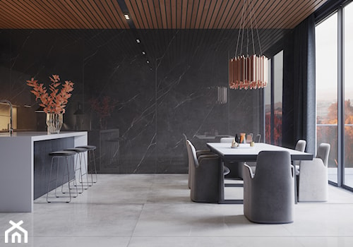 Kolekcja Concrete - Średnia otwarta z salonem czarna z zabudowaną lodówką kuchnia dwurzędowa, styl minimalistyczny - zdjęcie od Cerrad