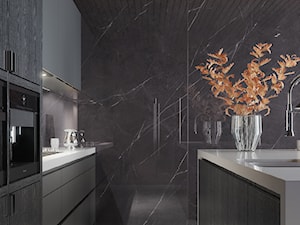 Kolekcja Concrete - Kuchnia, styl minimalistyczny - zdjęcie od Cerrad