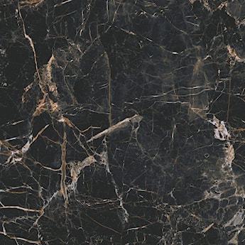 Marquina gold 120 x 120
