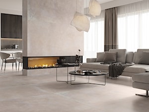 Kolekcja Concrete - Salon, styl minimalistyczny - zdjęcie od Cerrad