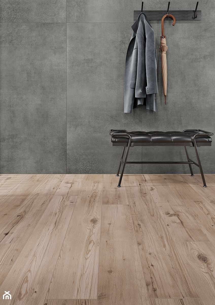 Kolekcja Concrete - Hol / przedpokój, styl minimalistyczny - zdjęcie od Cerrad