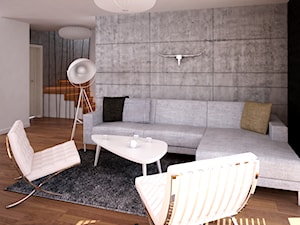 Projekt wnętrz domu jednorodzinnego-Realizacja 2013/2014 - Średni biały czarny szary salon, styl nowoczesny - zdjęcie od Mogho-Design