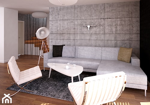 Projekt wnętrz domu jednorodzinnego-Realizacja 2013/2014 - Średni biały czarny szary salon, styl nowoczesny - zdjęcie od Mogho-Design