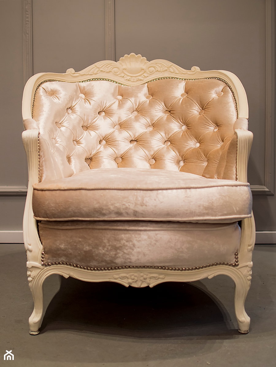 Fotel Ludwik Maria Antonina - zdjęcie od Juicy Colors