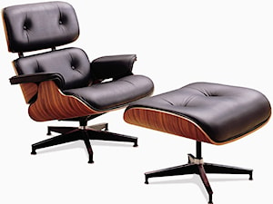 Postacie: Ray Kaiser i Charles Eames - Salon, styl nowoczesny - zdjęcie od Small world of design