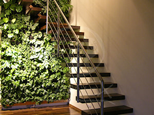 KAMEX - nowoczesne schody - Schody - zdjęcie od Ekspert Schodów KAMEX