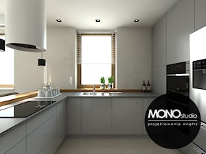 ​Nowoczesna minimalistyczna kuchnia w jasnej tonacji . - zdjęcie od MONOstudio