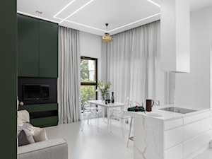 Apartament Zielona Ściana - Średni szary zielony salon z kuchnią z jadalnią, styl nowoczesny - zdjęcie od Idea by Mag.