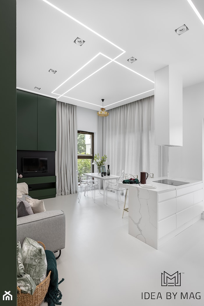 Apartament Zielona Ściana - Średni szary zielony salon z kuchnią z jadalnią, styl nowoczesny - zdjęcie od Idea by Mag. - Homebook