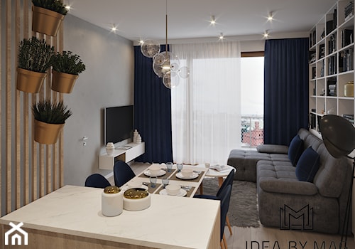 50 m2 - Średni szary salon z kuchnią z jadalnią z tarasem / balkonem z bibiloteczką, styl nowoczesny - zdjęcie od Idea by Mag.
