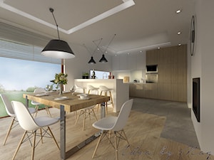 Dom parterowy. - Duża otwarta z salonem kuchnia jednorzędowa z wyspą lub półwyspem, styl nowoczesny - zdjęcie od Idea by Mag.
