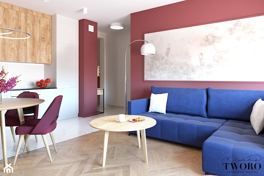 Mieszkanie Rąbieńska - Salon, styl tradycyjny - zdjęcie od Klaudia Tworo Projektowanie Wnętrz
