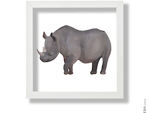 Nosorożec - zdjęcie od Alabastro