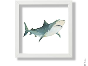 Rekin - zdjęcie od Alabastro