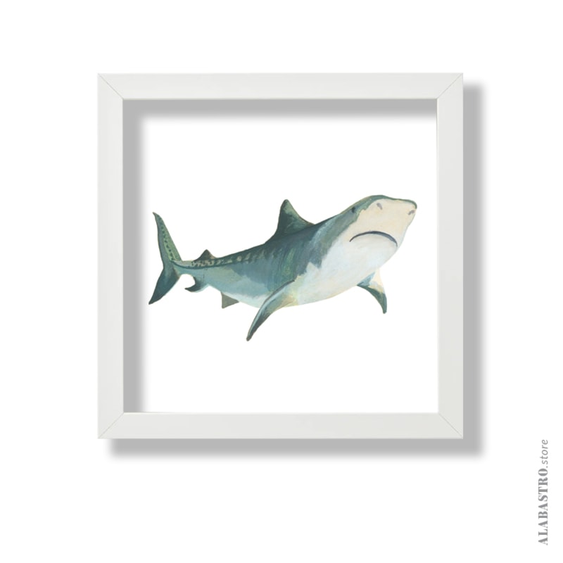 Rekin - zdjęcie od Alabastro - Homebook