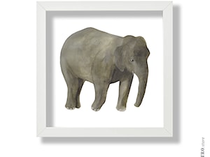 Słoń - zdjęcie od Alabastro