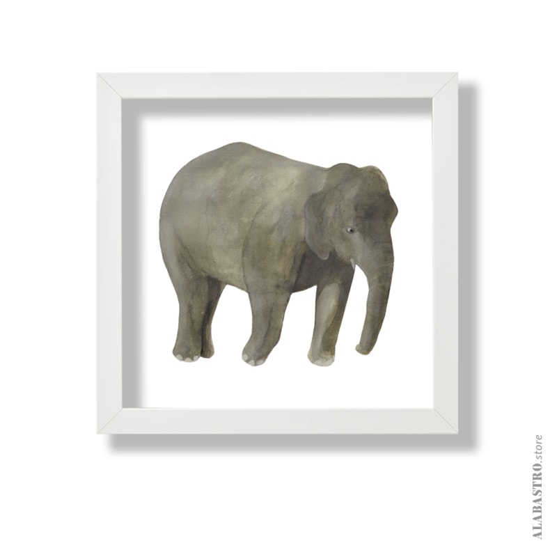 Słoń - zdjęcie od Alabastro