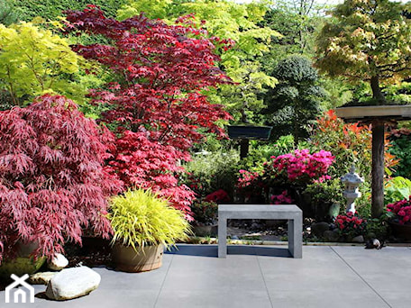 Aranżacje wnętrz - Ogród: Ława Regular - Średni ogród japoński za domem - Modern Line. Przeglądaj, dodawaj i zapisuj najlepsze zdjęcia, pomysły i inspiracje designerskie. W bazie mamy już prawie milion fotografii!