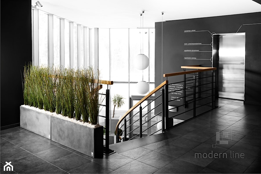 Donica Regular - beton architektoniczny - zdjęcie od Modern Line