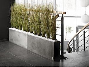 Donica Regular - beton architektoniczny - zdjęcie od Modern Line