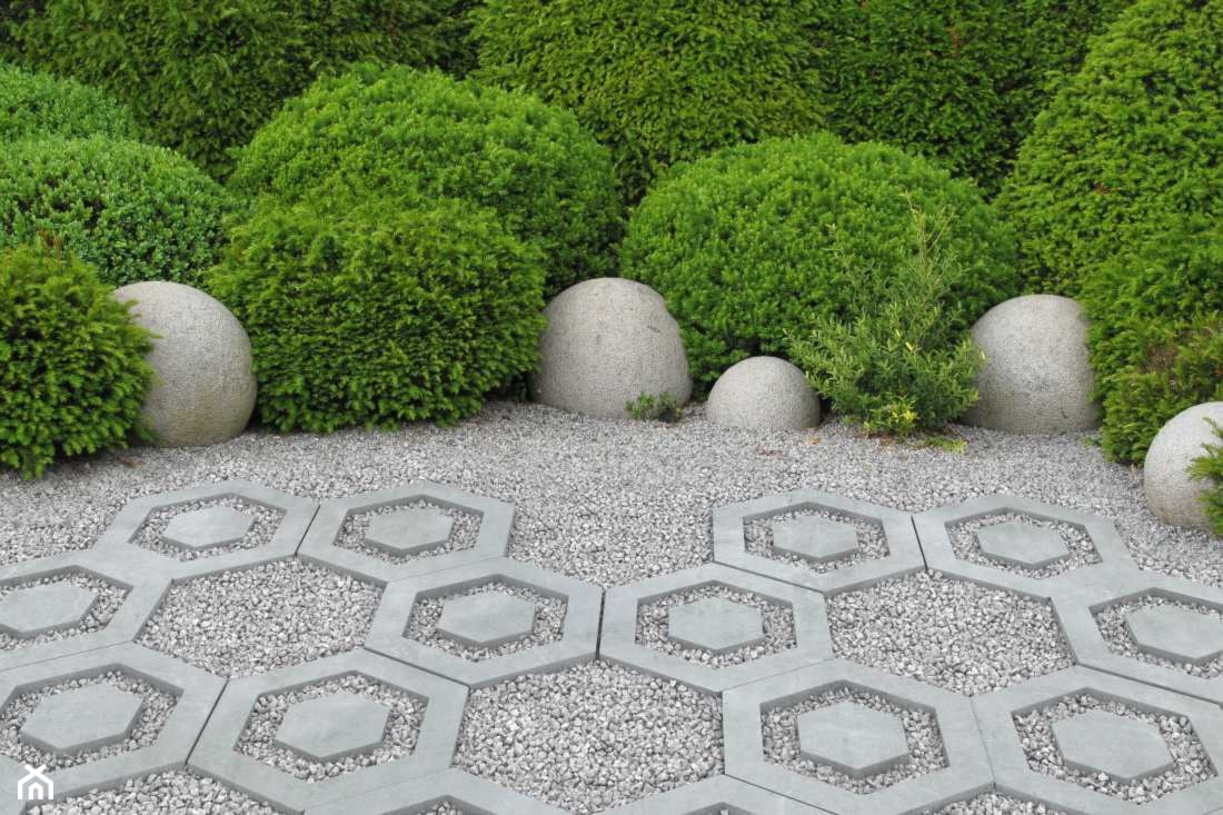 dekoracyjna nawierzchnia z betonu, krzewy w ogrodzie