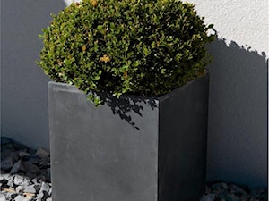 Ogród, styl minimalistyczny - zdjęcie od Modern Line