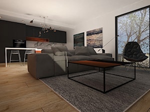 Apartament - Salon, styl nowoczesny - zdjęcie od emilia cieśla | design & interior design