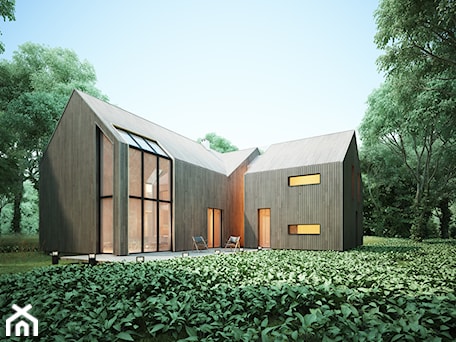 Aranżacje wnętrz - Domy: Projekty domów - House x_03 - Majchrzak Pracownia Projektowa. Przeglądaj, dodawaj i zapisuj najlepsze zdjęcia, pomysły i inspiracje designerskie. W bazie mamy już prawie milion fotografii!