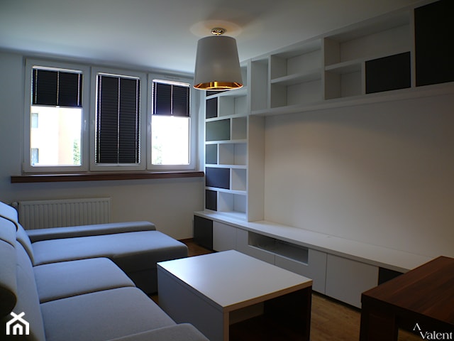 Generalny remont małego mieszkania - Kuchnia otwarta na salon
