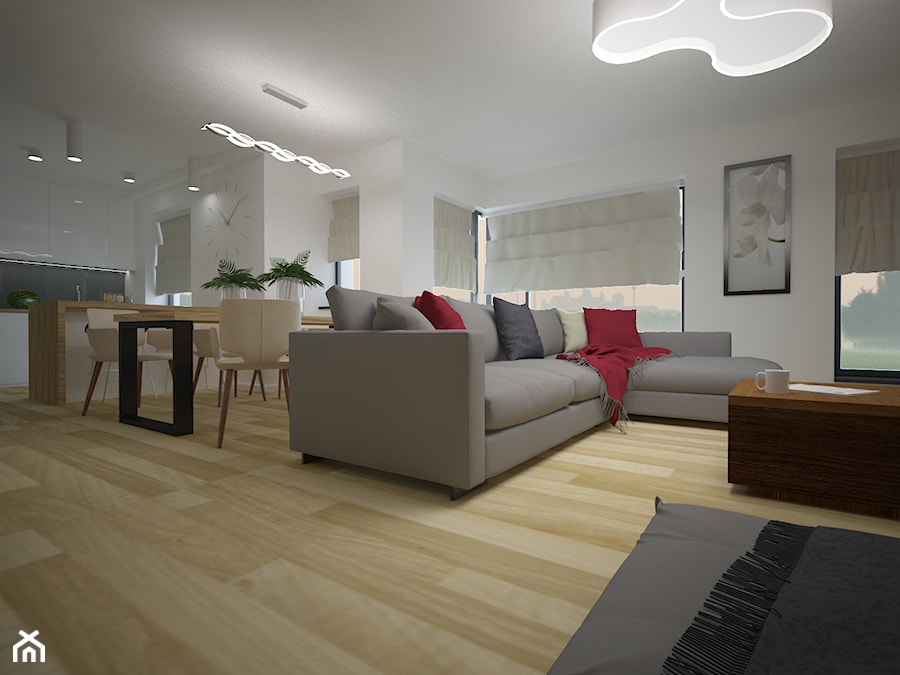 Apartament przy ul.Tynieckiej - Salon - zdjęcie od Aranżacja | Wnętrza | Projekty | Wykończenia domów i mieszkań