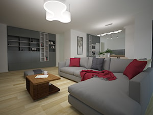 Apartament przy ul.Tynieckiej - Salon - zdjęcie od Aranżacja | Wnętrza | Projekty | Wykończenia domów i mieszkań