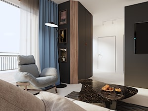 Apartament w Aachen // Niemcy - Mały szary salon, styl nowoczesny - zdjęcie od SIKORA WNĘTRZA