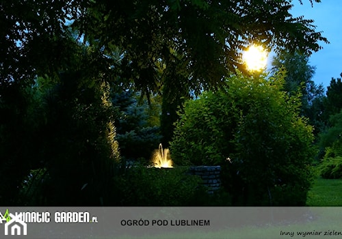 Ogród pod Lublinem - Średni z lampami stojącymi ogród tropikalny z oczkiem wodnym za domem - zdjęcie od Lunatic Garden