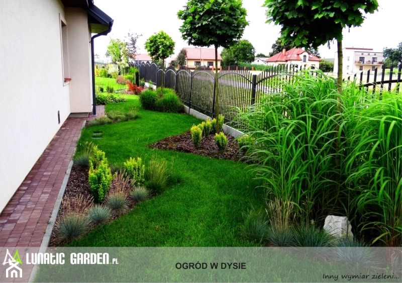 Ogród z pionowym skalniakiem - Średni z nawierzchnią pokrytą kostką brukową ogród za domem - zdjęcie od Lunatic Garden - Homebook