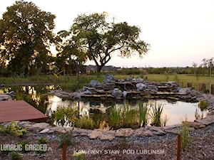 Oczko wodne - Ogród, styl tradycyjny - zdjęcie od Lunatic Garden