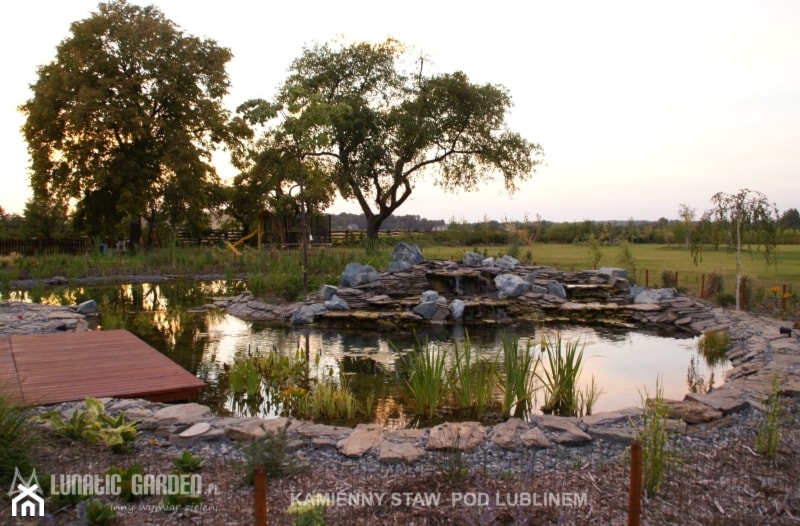 Oczko wodne - Ogród, styl tradycyjny - zdjęcie od Lunatic Garden