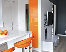 Na pomarańczowo - Salon, styl nowoczesny - zdjęcie od monikagolec.pl - Homebook