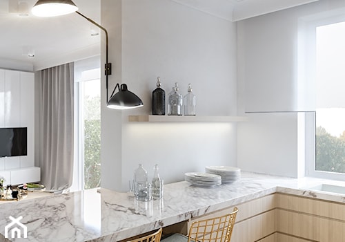 Mieszkanie w kamienicy - Mała otwarta z salonem szara z podblatowym zlewozmywakiem kuchnia w kształcie litery l z oknem, styl minimalistyczny - zdjęcie od Atelier58