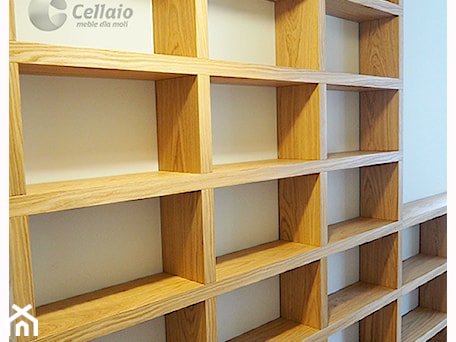 Aranżacje wnętrz - Hol / Przedpokój: Cellaio - biblioteczki - Cellaio - półki na książki. Przeglądaj, dodawaj i zapisuj najlepsze zdjęcia, pomysły i inspiracje designerskie. W bazie mamy już prawie milion fotografii!