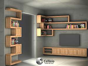 Cellaio - meble do salonu - zdjęcie od Cellaio - półki na książki